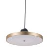 Gold Shaded Metal LED Dimmable Ceiling Light