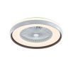 Minimalist LED Light With Ceiling Fan