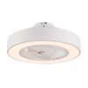 Contemporary White Ceiling Lamp And Fan