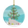 NEW White Persian Traditional Cat Christmas Ceramic Ornament Christmas Tree Hanging Decorations for Home Christmas Holiday, Party, Gift, 3 in, Multico