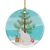 NEW Burmilla Cat Christmas Ceramic Ornament Christmas Tree Hanging Decorations for Home Christmas Holiday, Party, Gift, 3 in, Multicolor